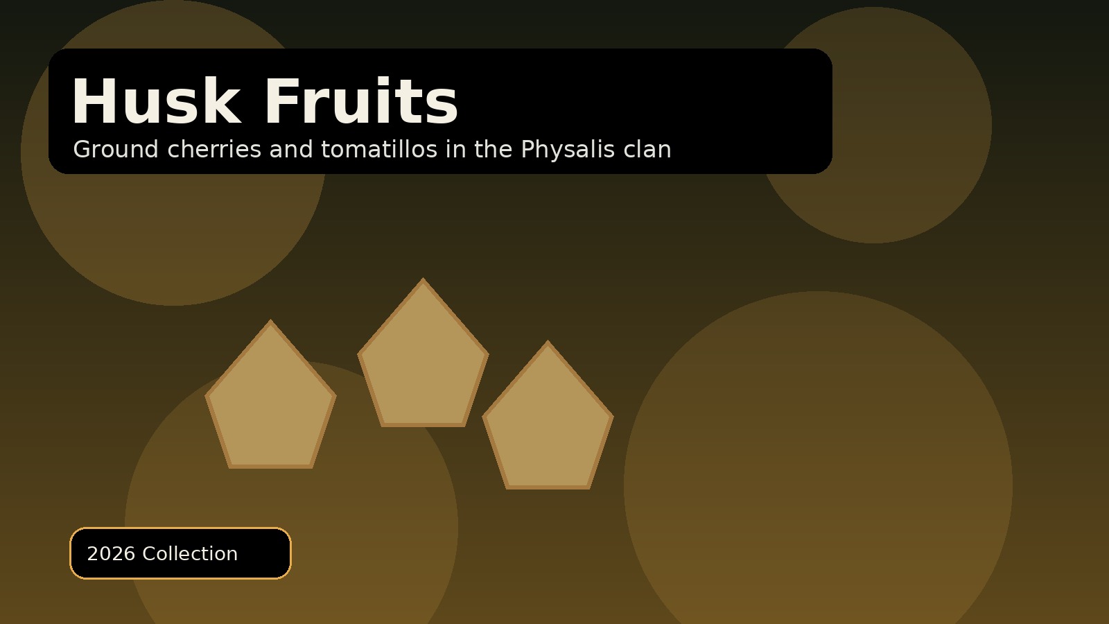 Physalis