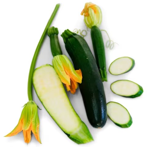 Summer Squash Inizia